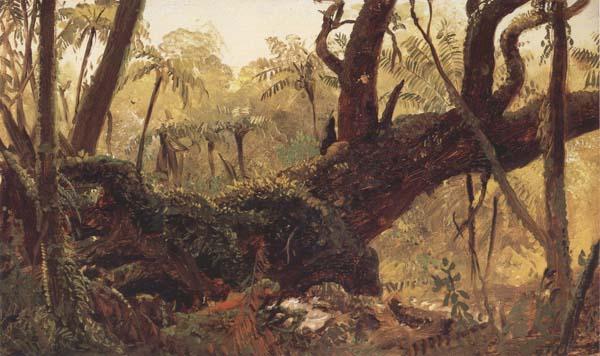 Frederic E.Church Rain Forest,jamaica,West Indies Sweden oil painting art